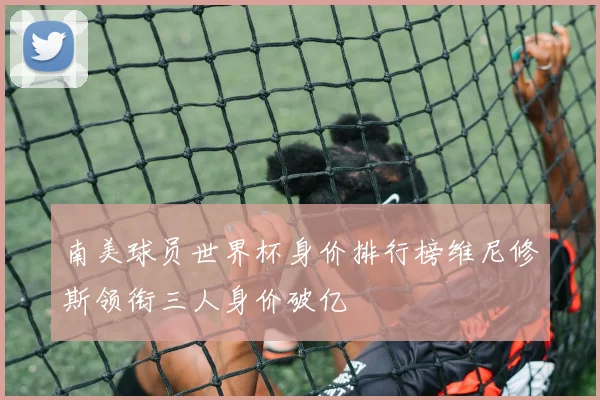 南美球员世界杯身价排行榜维尼修斯领衔三人身价破亿